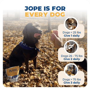 Jope Hip and Joint Supplement for Large Dogs